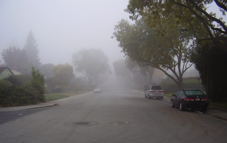 Foggy morning