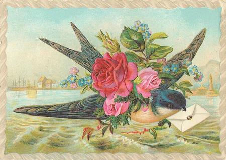 Bird Bird