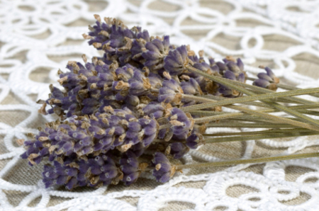 Lavender