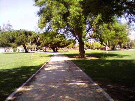 Mitchelpark