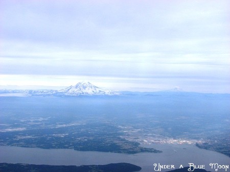 Picture_020