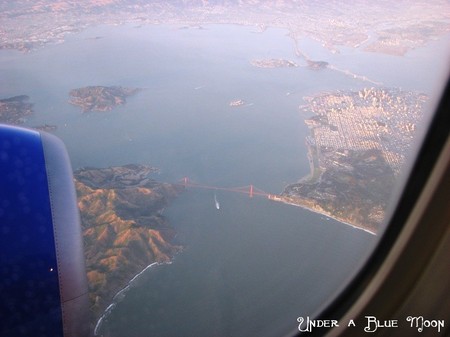 Picture_023