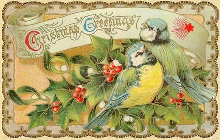 Bluebird