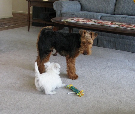 Picture_055_2