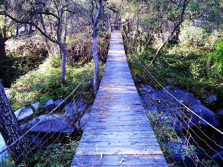 Bridge_copy