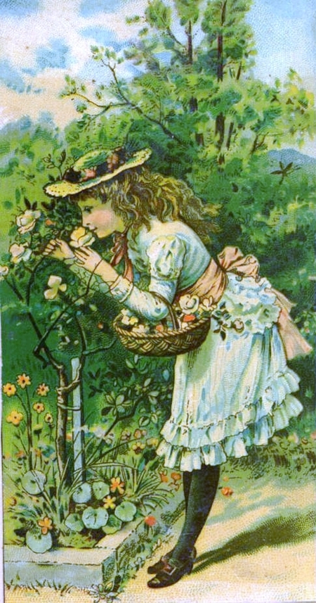 Spring1_2
