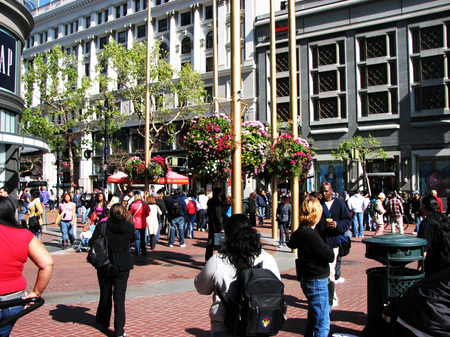 Picture_251_copy_2
