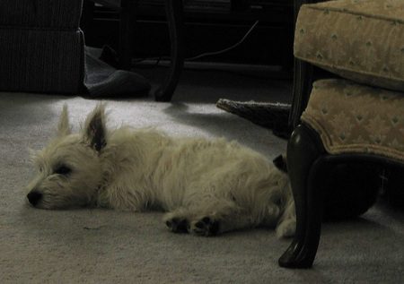 Picture_429