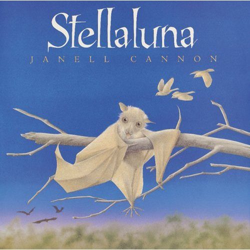Our own Stellaluna
