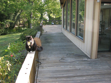 Picture 352
