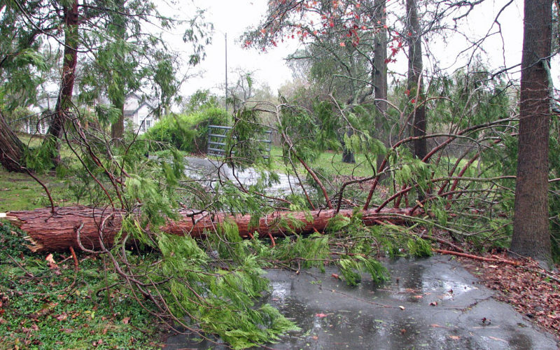 Storm Watch 2010