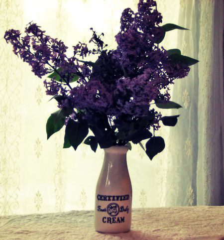 Lilacs