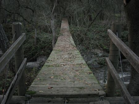 Bridge