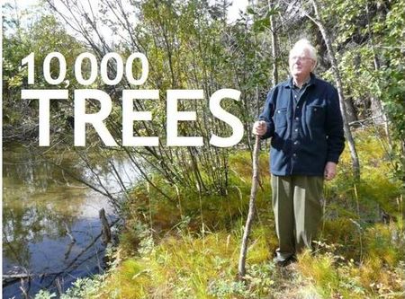 10000Trees