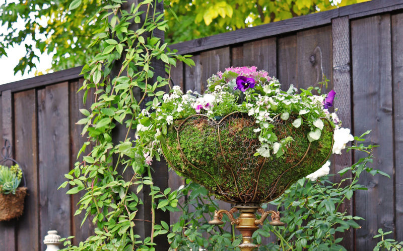 Lamp Planter