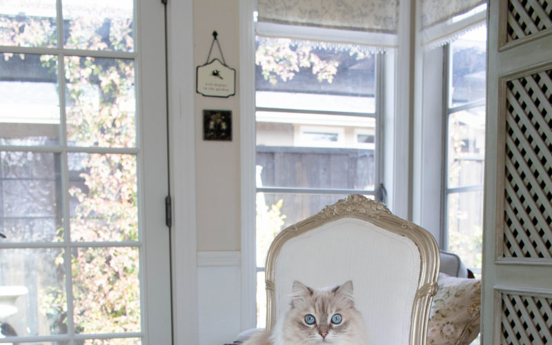 Vanity chair slipcover